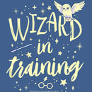 Boy's Harry Potter Wizard in Training Pull Over Hoodie