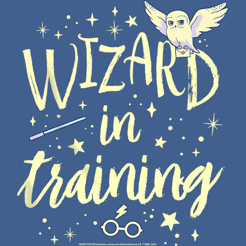 Boy's Harry Potter Wizard in Training Pull Over Hoodie