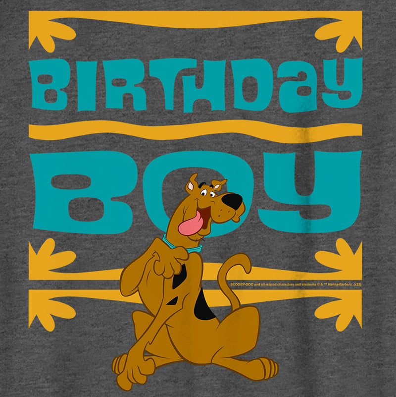 Boy's Scooby Doo Birthday Boy Scoob T-Shirt