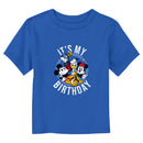 Toddler's Mickey & Friends It's My Birthday T-Shirt