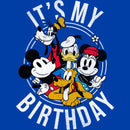Toddler's Mickey & Friends It's My Birthday T-Shirt