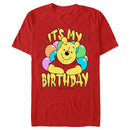 Men's Winnie the Pooh It's My Birthday T-Shirt