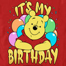 Men's Winnie the Pooh It's My Birthday T-Shirt