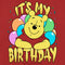 Women's Winnie the Pooh It's My Birthday T-Shirt