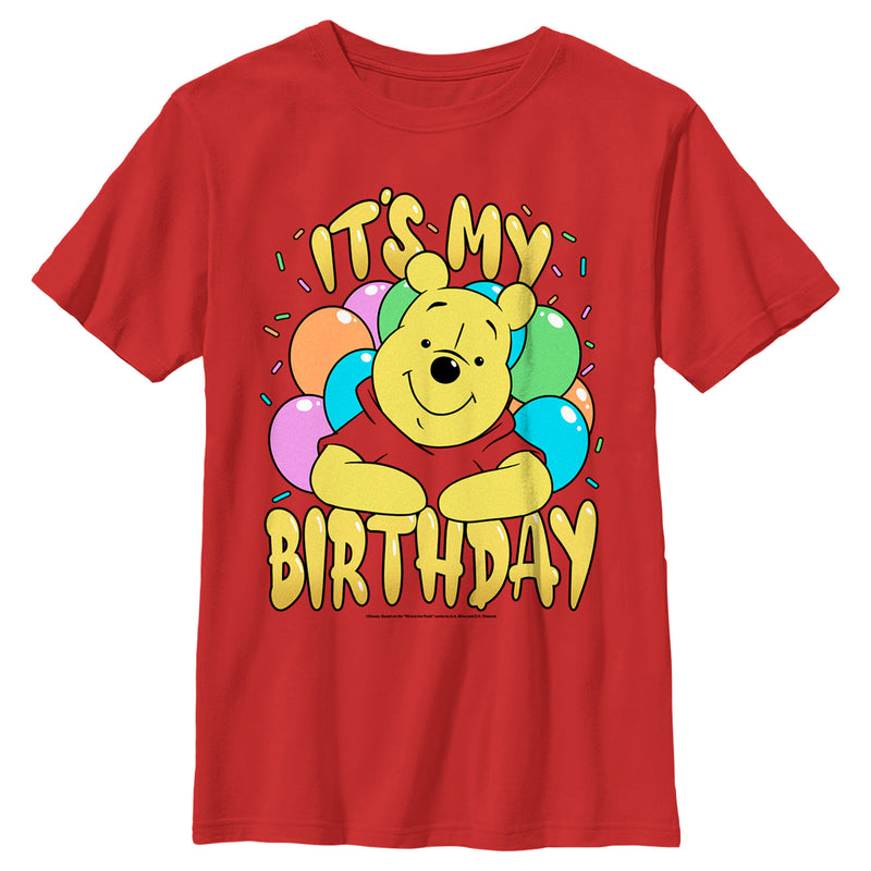 Boy's Winnie the Pooh It's My Birthday T-Shirt