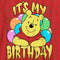 Boy's Winnie the Pooh It's My Birthday T-Shirt