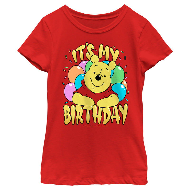 Girl's Winnie the Pooh It's My Birthday T-Shirt