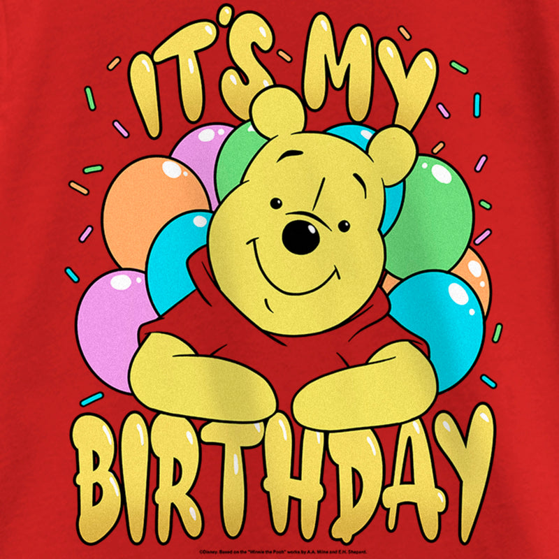 Girl's Winnie the Pooh It's My Birthday T-Shirt