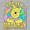 Toddler's Winnie the Pooh It's My Birthday Party Bear T-Shirt