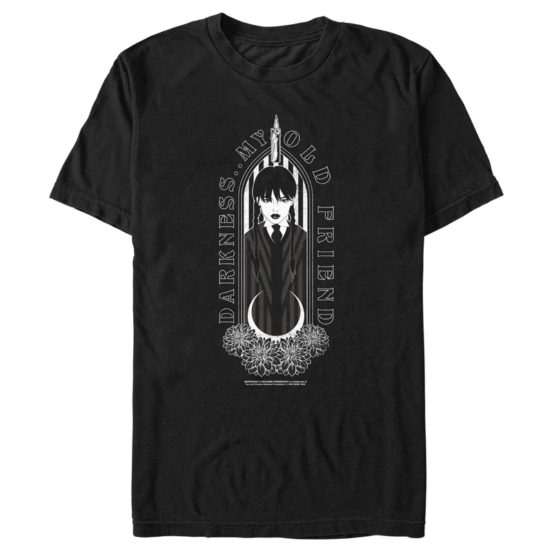 Men's Wednesday Darkness My Old Friend T-Shirt