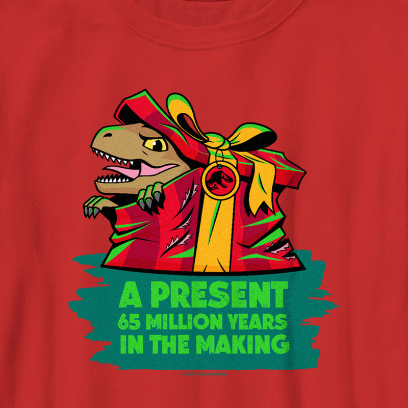 Boy's Jurassic World A Present Long in the Making T-Shirt