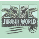Girl's Jurassic World: Dominion Velociraptor Vintage Panel Scratch T-Shirt