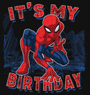 Girl's Marvel It's My Spider-Birthday T-Shirt