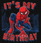 Girl's Marvel It's My Spider-Birthday T-Shirt