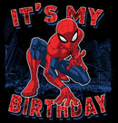 Boy's Marvel It's My Spider-Birthday T-Shirt