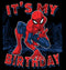 Boy's Marvel It's My Spider-Birthday T-Shirt