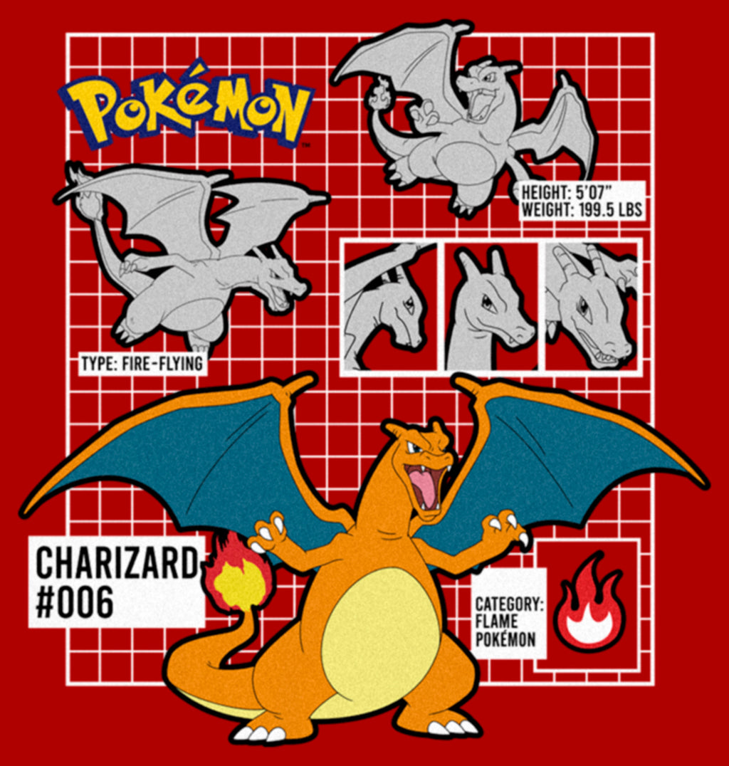 Junior's Pokemon Charizard Info Grid T-Shirt – Fifth Sun