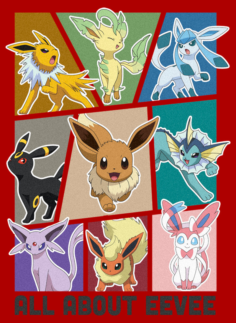 Men's Pokemon All About Eevee Eeveeloution T-Shirt