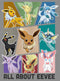 Junior's Pokemon All About Eevee Eeveeloution Cowl Neck Sweatshirt