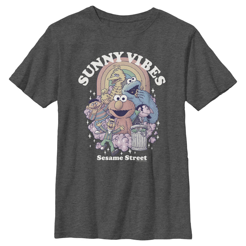Boy's Sesame Street Sunny Vibes Group T-Shirt