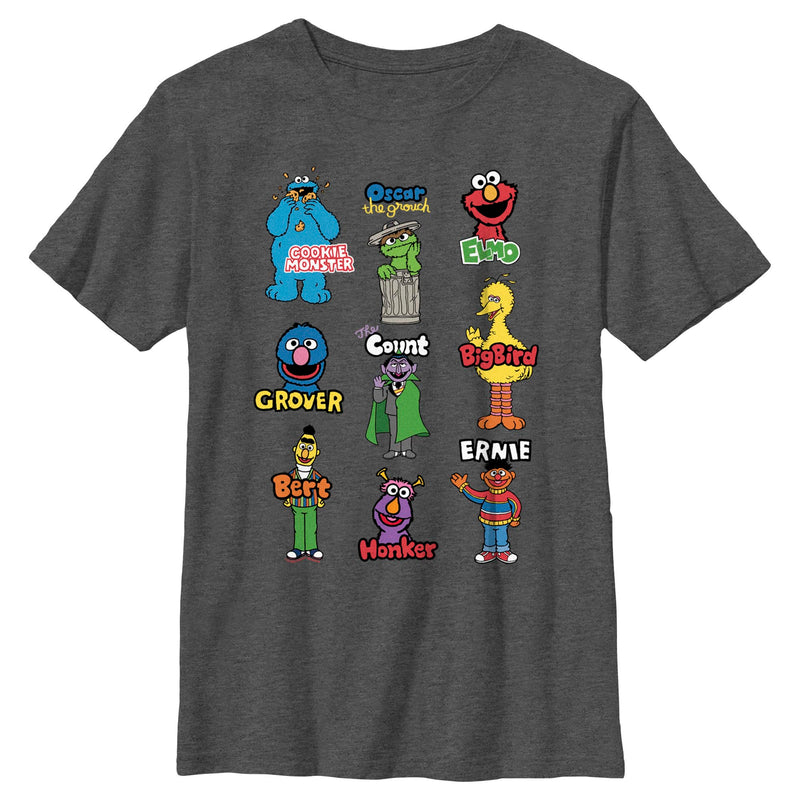 Boy's Sesame Street Character Introductions T-Shirt