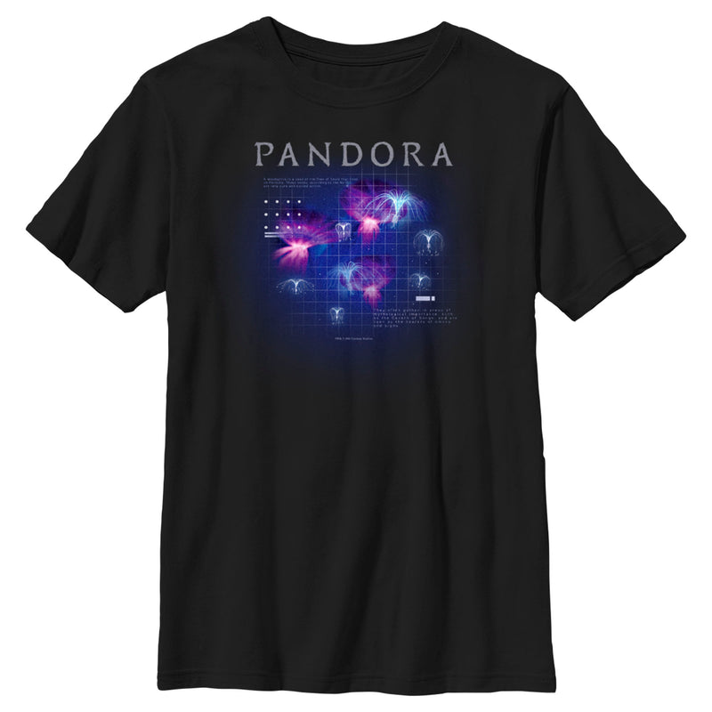 Boy's Avatar Pandora Panopyra and Woodsprites Diagram T-Shirt