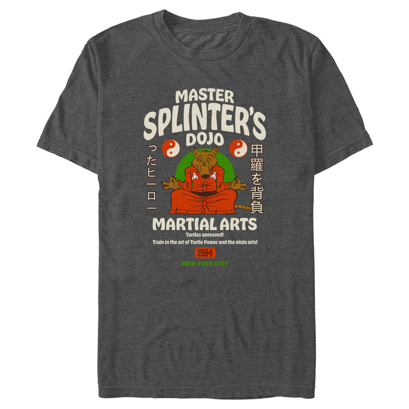 Men's Teenage Mutant Ninja Turtles Master Splinter's Dojo Martial Arts T-Shirt