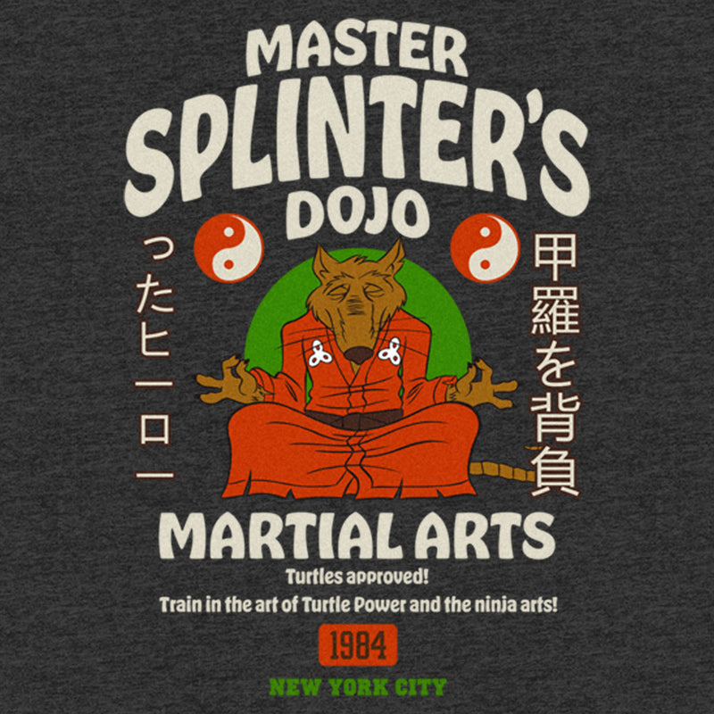 Men's Teenage Mutant Ninja Turtles Master Splinter's Dojo Martial Arts T-Shirt