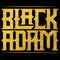 Boy's Black Adam Golden Logo T-Shirt
