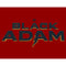 Women's Black Adam Black Logo T-Shirt