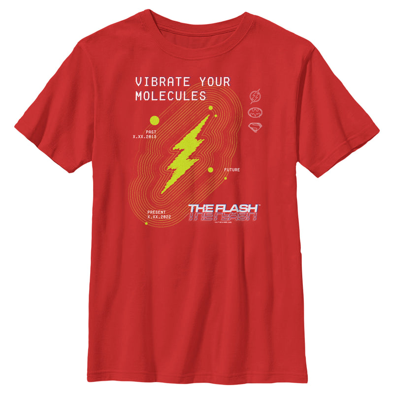 Boy's The Flash Vibrate Your Molecules T-Shirt