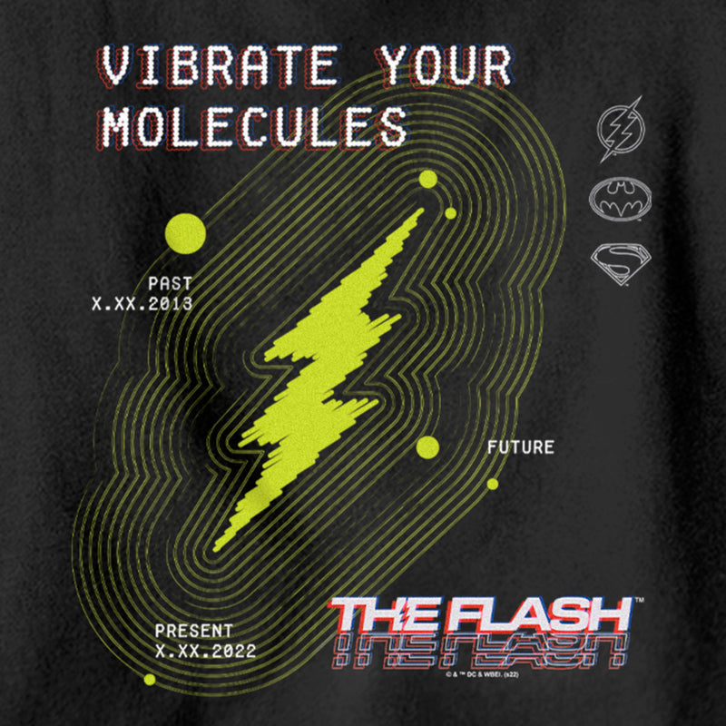 Boy's The Flash Vibrate Your Molecules Pull Over Hoodie