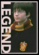 Junior's Harry Potter Gryffindor Legend Portrait T-Shirt