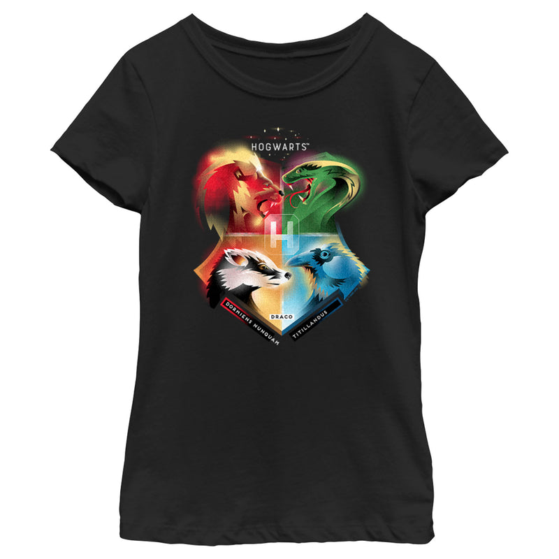 Girl's Harry Potter Hogwarts' Four Houses T-Shirt