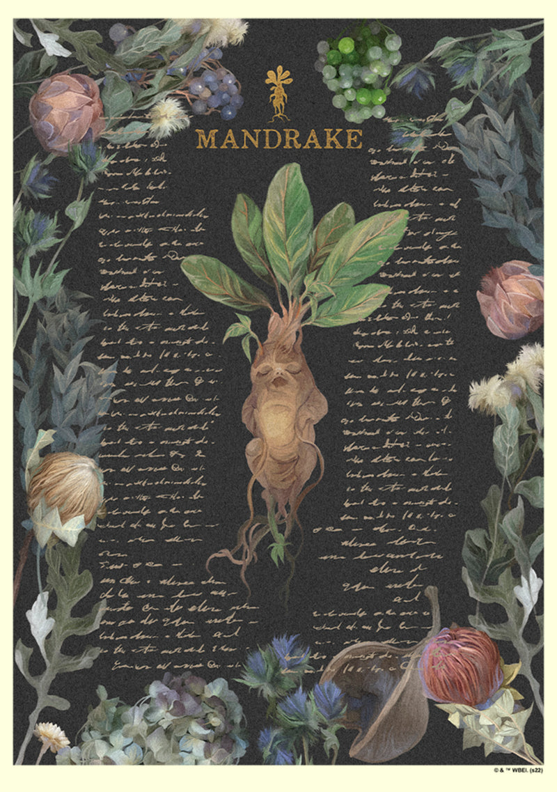 Men's Harry Potter Mandrake Root Recipe T-Shirt