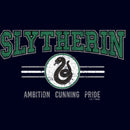 Junior's Harry Potter Distressed Slytherin Traits T-Shirt