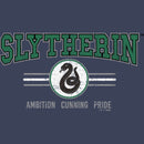 Boy's Harry Potter Distressed Slytherin Traits T-Shirt