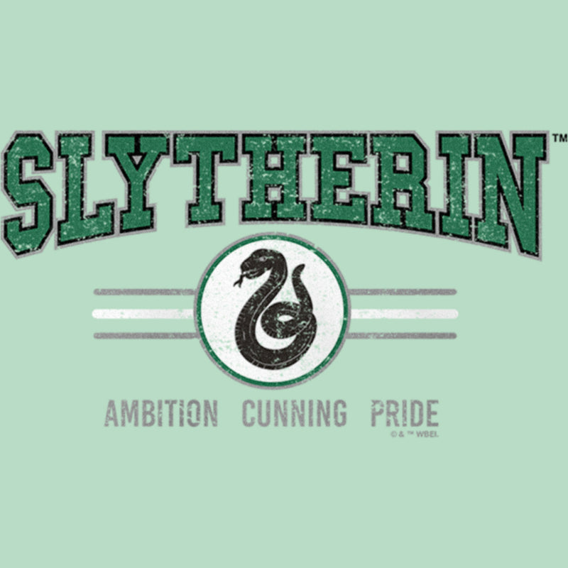 Girl's Harry Potter Distressed Slytherin Traits T-Shirt