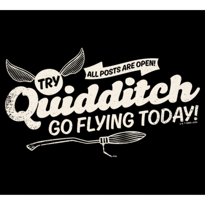 Junior's Harry Potter Quidditch Go Flying Today T-Shirt