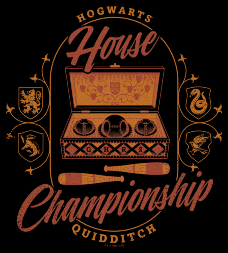 Junior's Harry Potter Hogwarts House Championship T-Shirt