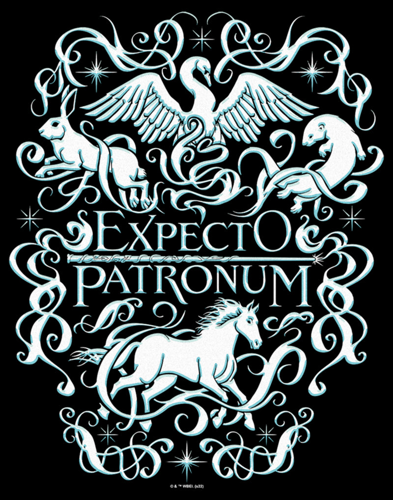 Men's Harry Potter Expecto Patronum Animals T-Shirt