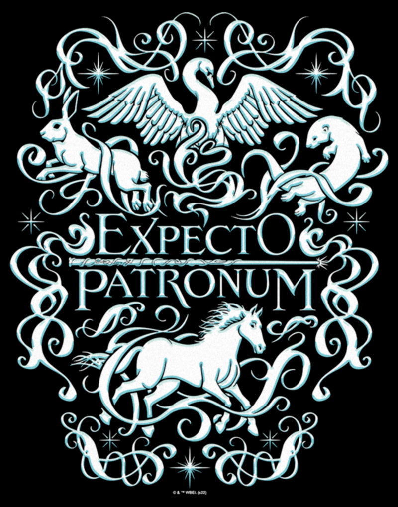 Junior's Harry Potter Expecto Patronum Animals T-Shirt