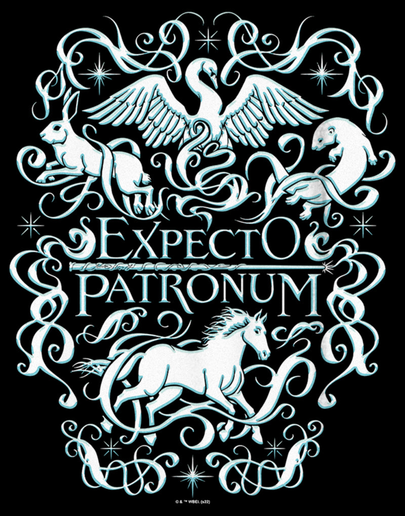Boy's Harry Potter Expecto Patronum Animals T-Shirt