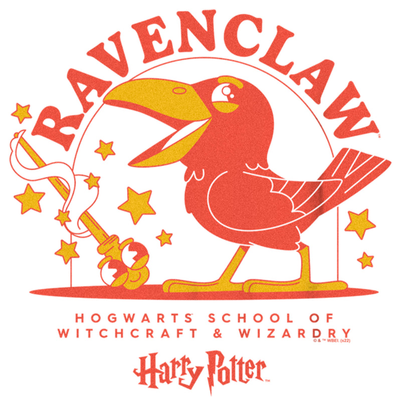 Boy's Harry Potter Cute Ravenclaw Eagle T-Shirt