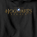 Boy's Hogwarts Legacy Official Logo Pull Over Hoodie