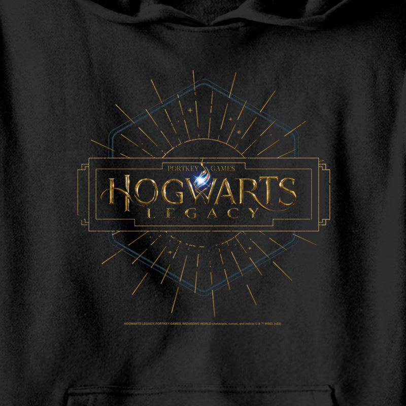 Boy's Hogwarts Legacy Art Deco Logo Pull Over Hoodie