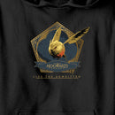 Boy's Hogwarts Legacy Golden Snidget Logo Pull Over Hoodie