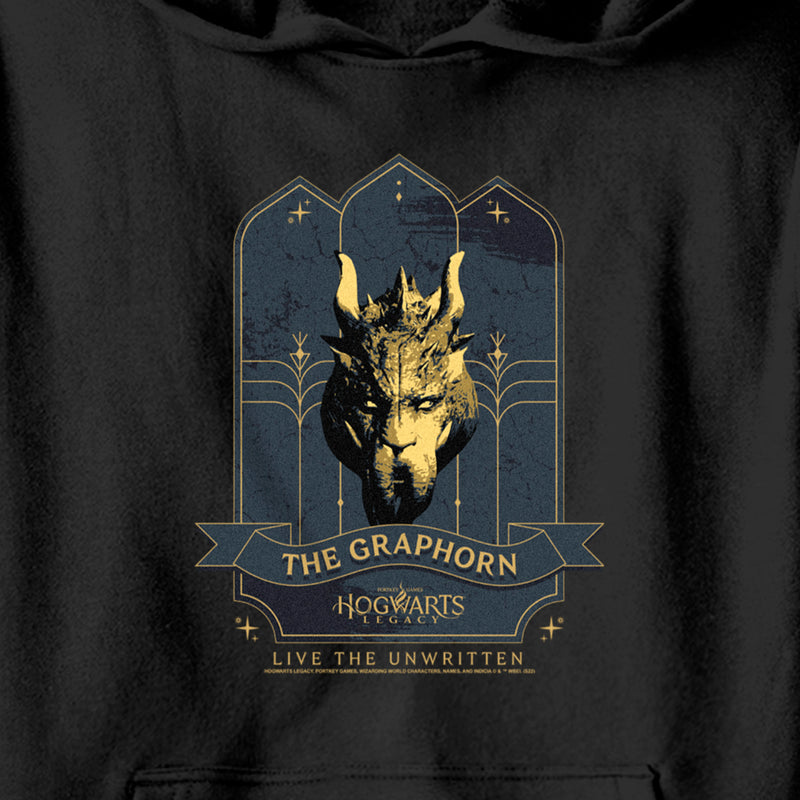 Boy's Hogwarts Legacy The Graphorn Logo Pull Over Hoodie