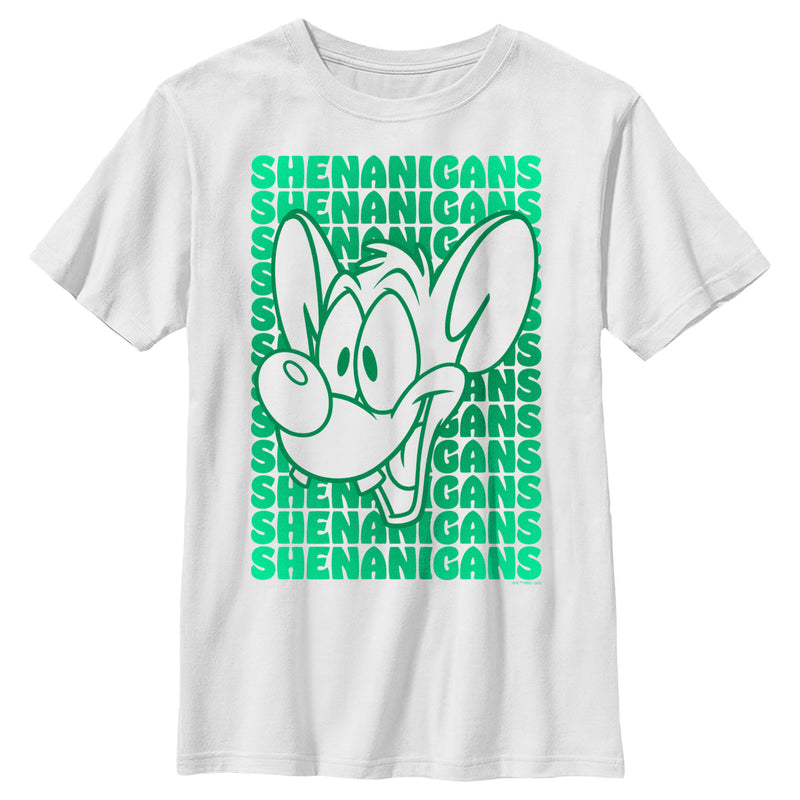 Boy's Pinky and the Brain Pinky Shenanigans T-Shirt