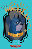 Girl's DC League of Super-Pets Ace The Bat-Hound Shelter Hooligan T-Shirt